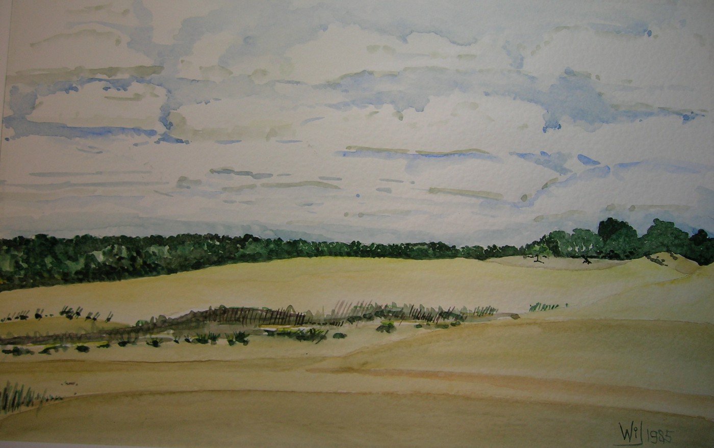 Loonse duinen aquarel 32 x 48